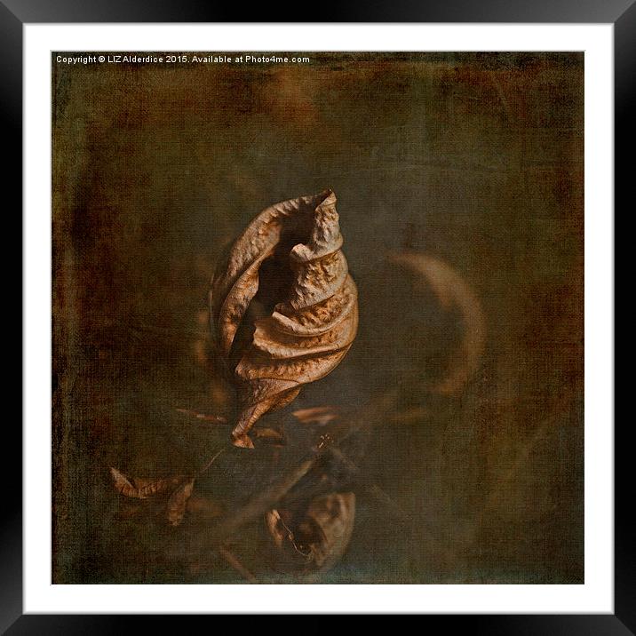  Beech Leaves (lII) Framed Mounted Print by LIZ Alderdice