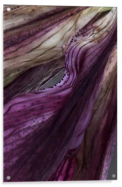  painted purple petals Acrylic by Heather Newton