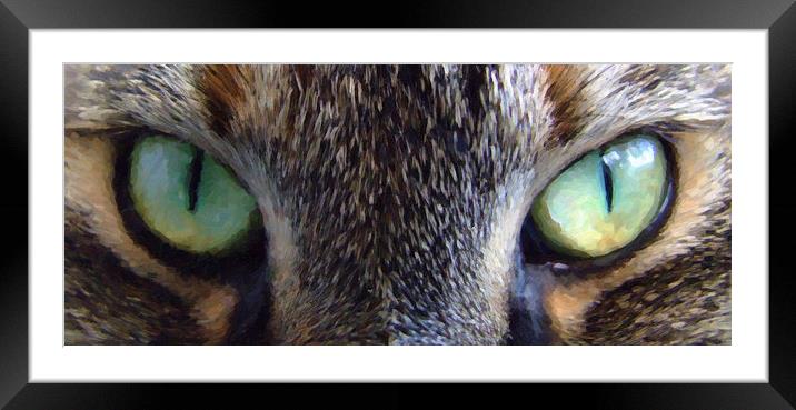 evil eyes Framed Mounted Print by Antony McAulay