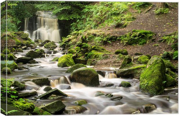  Tigers Clough Falls. Canvas Print by Dave Staton