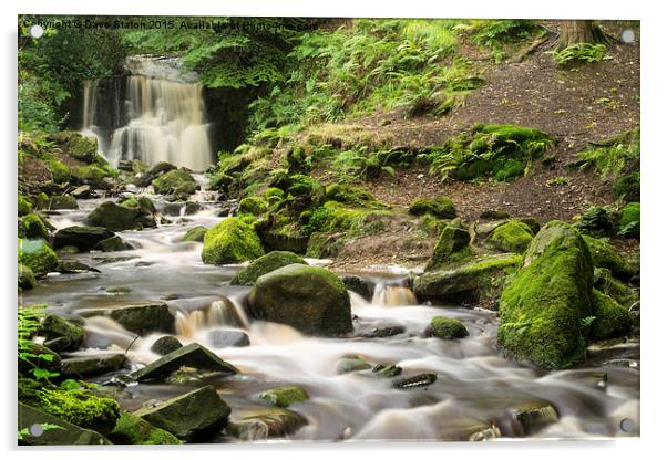  Tigers Clough Falls. Acrylic by Dave Staton