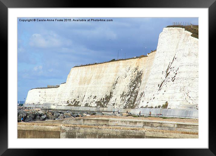   Chalk Cliffs at Saltdean East Sussex Framed Mounted Print by Carole-Anne Fooks