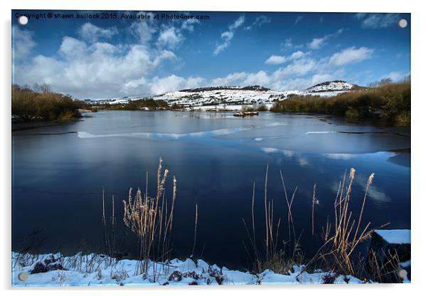  Tittesworth Reservoir Acrylic by shawn bullock