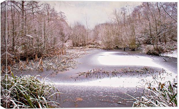  The Freeze Canvas Print by Dawn Cox