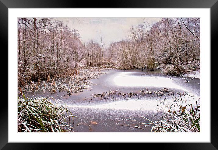  The Freeze Framed Mounted Print by Dawn Cox