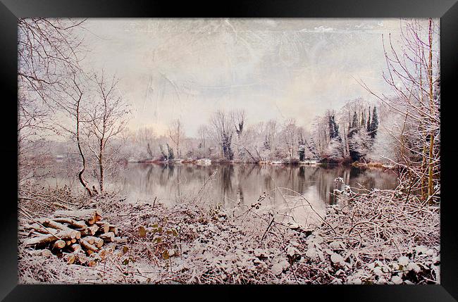 Mirror Reflections on the Lake  Framed Print by Dawn Cox