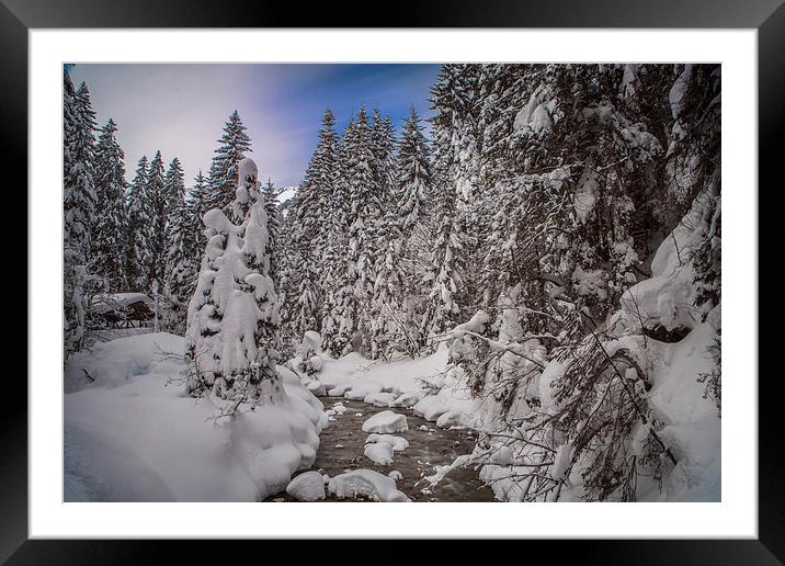  Snow laden trees. Framed Mounted Print by David Hare