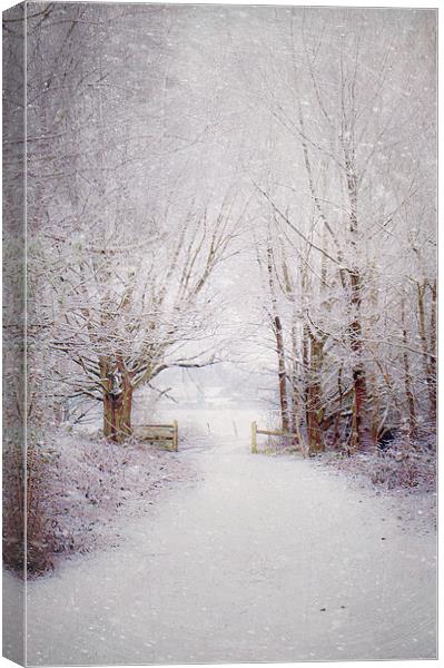 Winter wonderland  Canvas Print by Dawn Cox