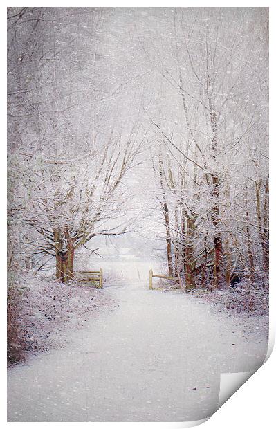 Winter wonderland  Print by Dawn Cox
