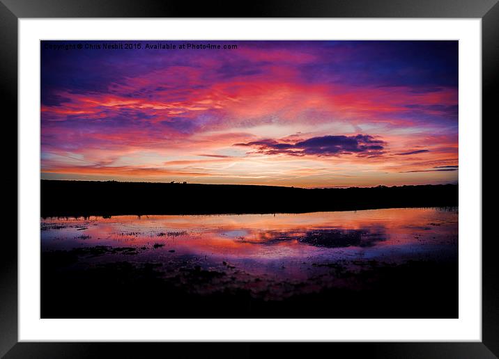 Golden Hour in the New Forest Framed Mounted Print by Chris Nesbit
