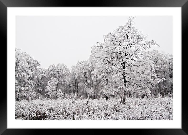Winter landscape Framed Mounted Print by Gabor Pozsgai