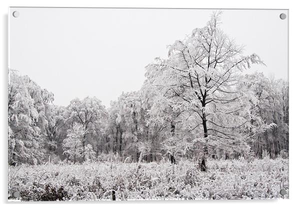 Winter landscape Acrylic by Gabor Pozsgai