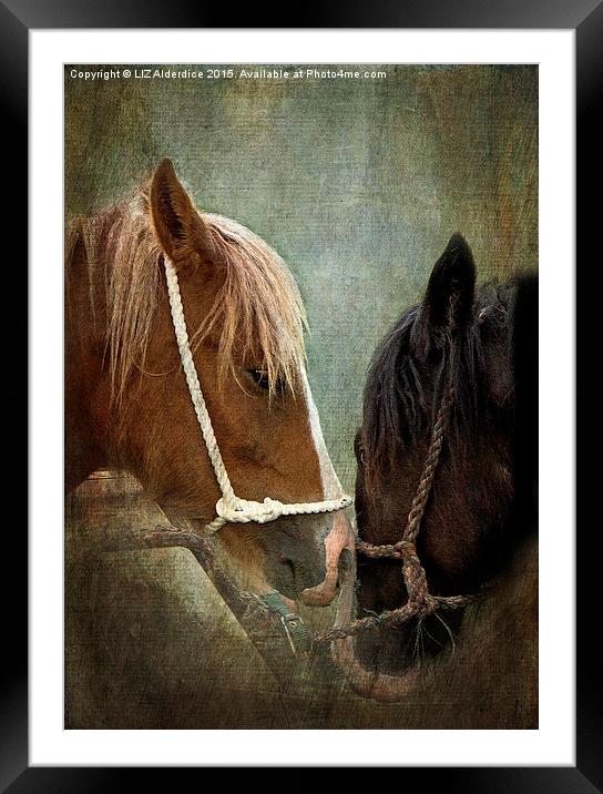  Appleby Fair Horses Framed Mounted Print by LIZ Alderdice