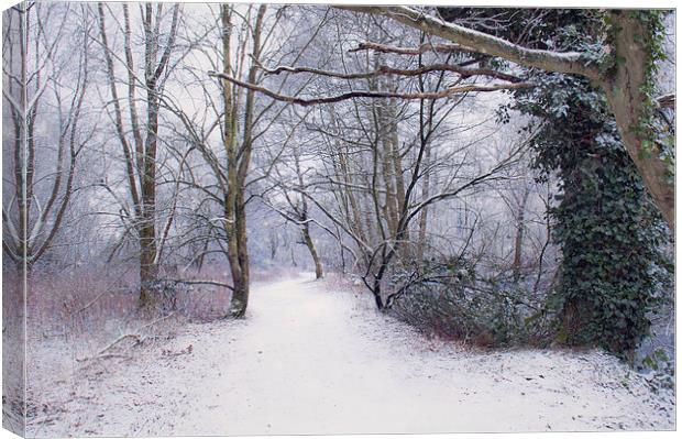  Winter walk Canvas Print by Dawn Cox