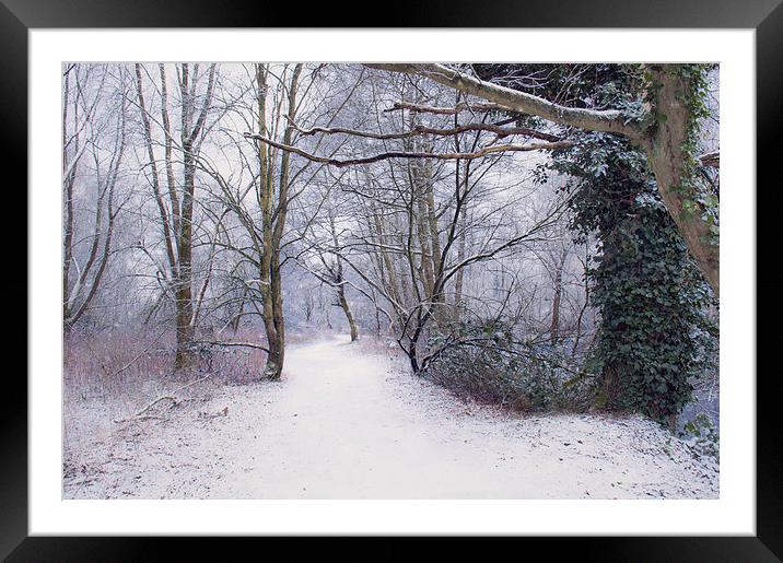  Winter walk Framed Mounted Print by Dawn Cox