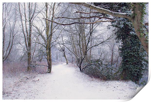  Winter walk Print by Dawn Cox