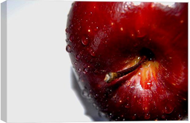  Red and Delicious to eat Canvas Print by sylvia scotting