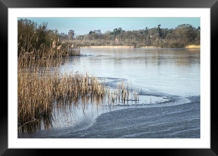  South Walsham Broad from Fairhaven Framed Mounted Print by Stephen Mole
