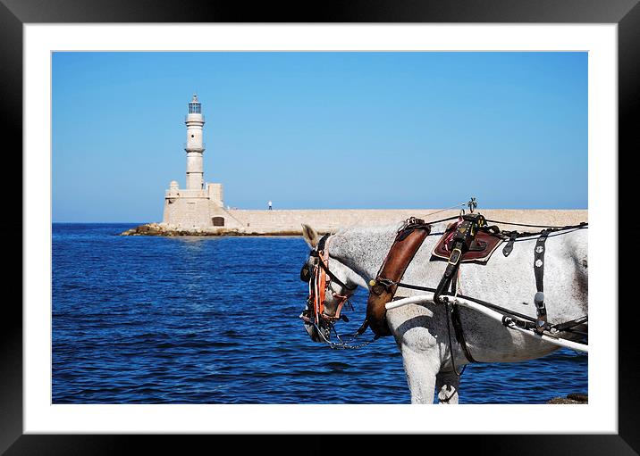 horse at Chania lighthouse Framed Mounted Print by Antony McAulay