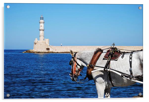 horse at Chania lighthouse Acrylic by Antony McAulay