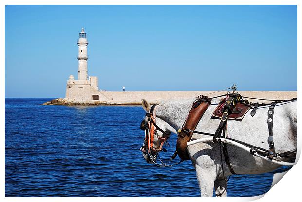 horse at Chania lighthouse Print by Antony McAulay