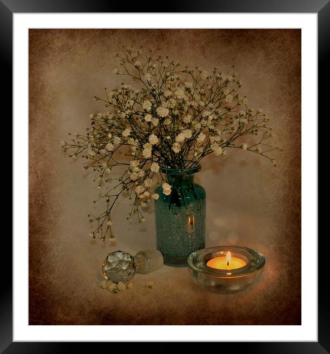  babys breath Framed Mounted Print by sue davies
