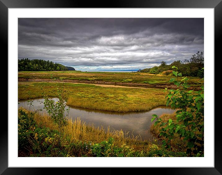  Port Granville Marshes, Nova Scotia, Canada Framed Mounted Print by Mark Llewellyn