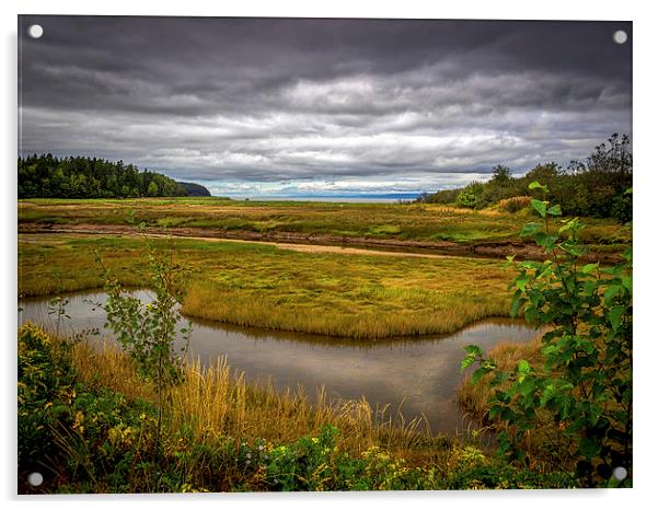  Port Granville Marshes, Nova Scotia, Canada Acrylic by Mark Llewellyn