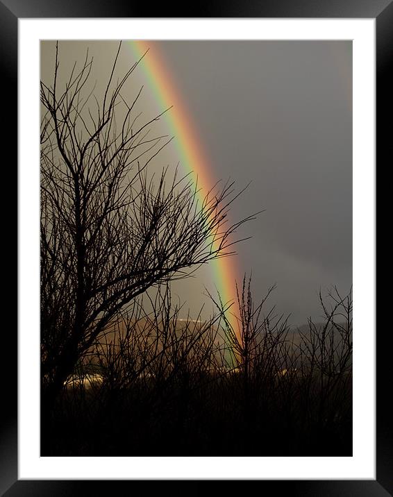 Dark Rainbow Framed Mounted Print by Patti Barrett
