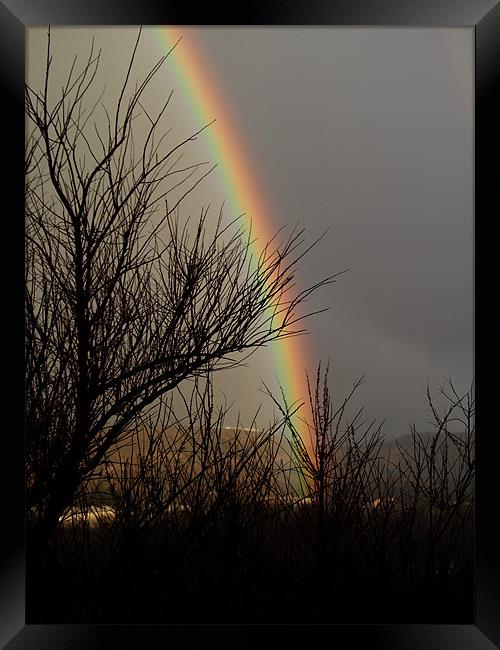Dark Rainbow Framed Print by Patti Barrett