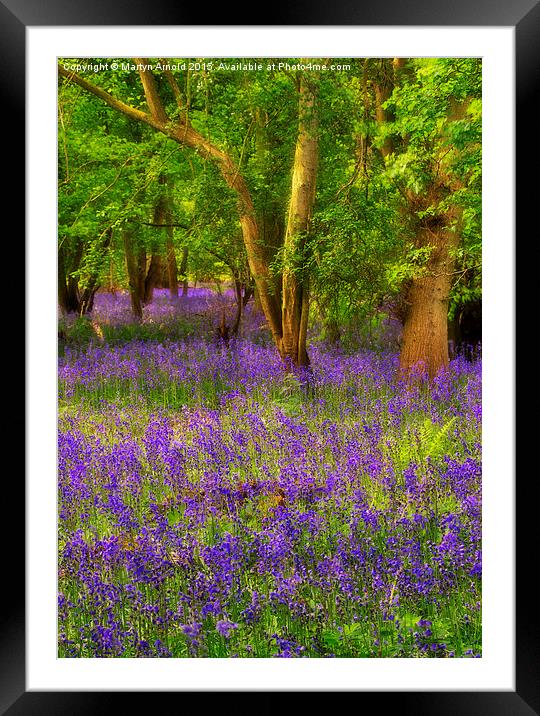 Enchanted Bluebell Wood Framed Mounted Print by Martyn Arnold
