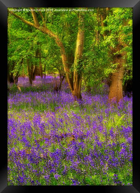Enchanted Bluebell Wood Framed Print by Martyn Arnold