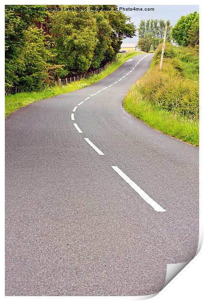 Lovely  road  on summer day in Scotland Print by Malgorzata Larys