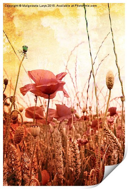 Beautiful grungy style poppies Print by Malgorzata Larys