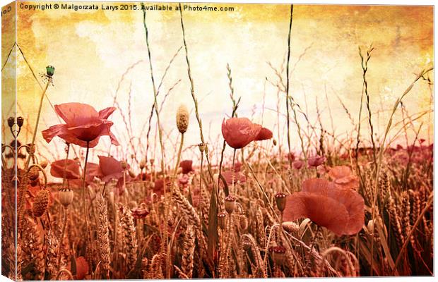 Beautiful grungy background with poppies Canvas Print by Malgorzata Larys