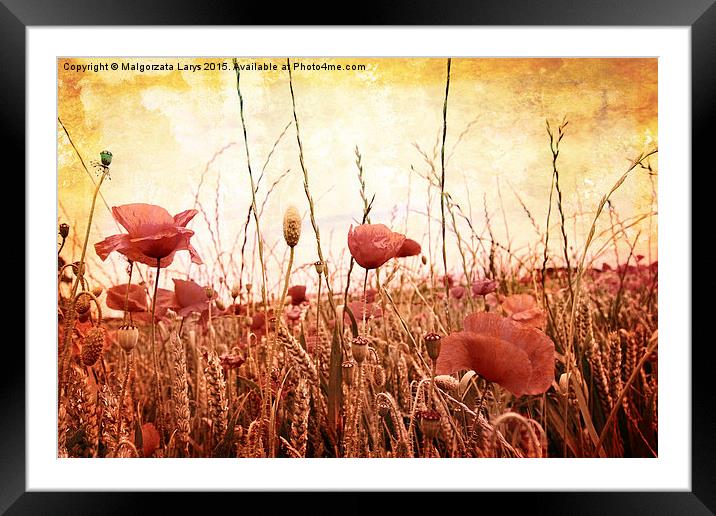 Beautiful grungy background with poppies Framed Mounted Print by Malgorzata Larys