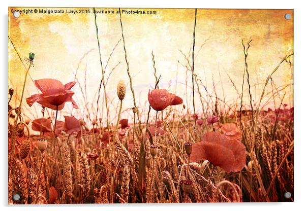 Beautiful grungy background with poppies Acrylic by Malgorzata Larys