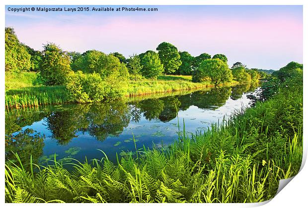 Forth and Clyde Canal, Scotland Print by Malgorzata Larys