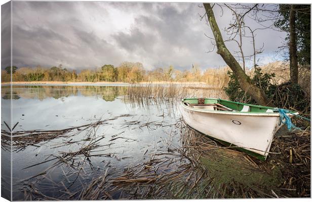  Boat at South Walsham Broad Canvas Print by Stephen Mole