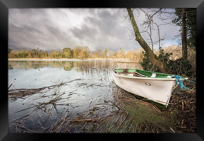  Boat at South Walsham Broad Framed Print by Stephen Mole