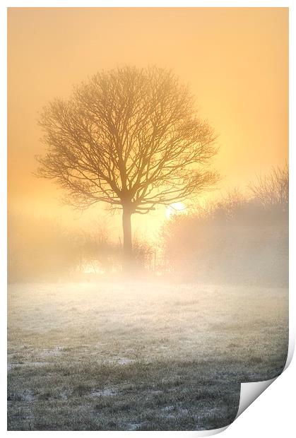 Misty sunrise  Print by Robert Fielding