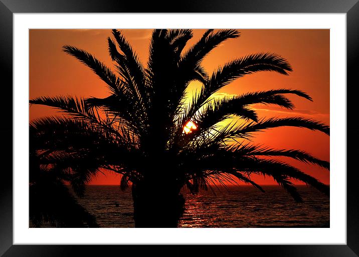  Palm Tree Sunset Framed Mounted Print by Simon Deacon