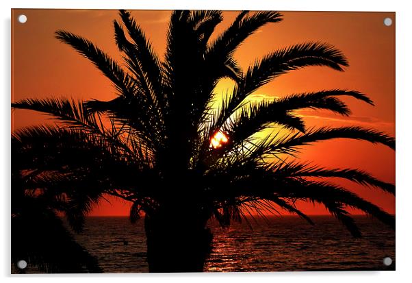  Palm Tree Sunset Acrylic by Simon Deacon