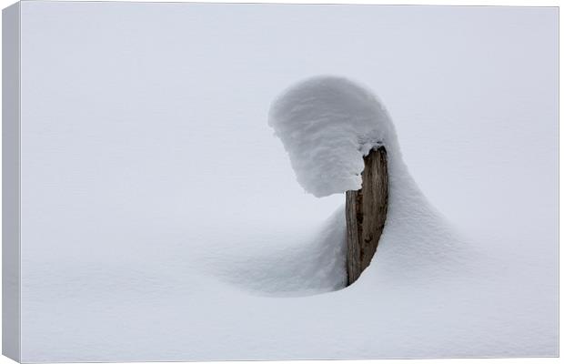  Shapes in snow 1 Canvas Print by David Hare