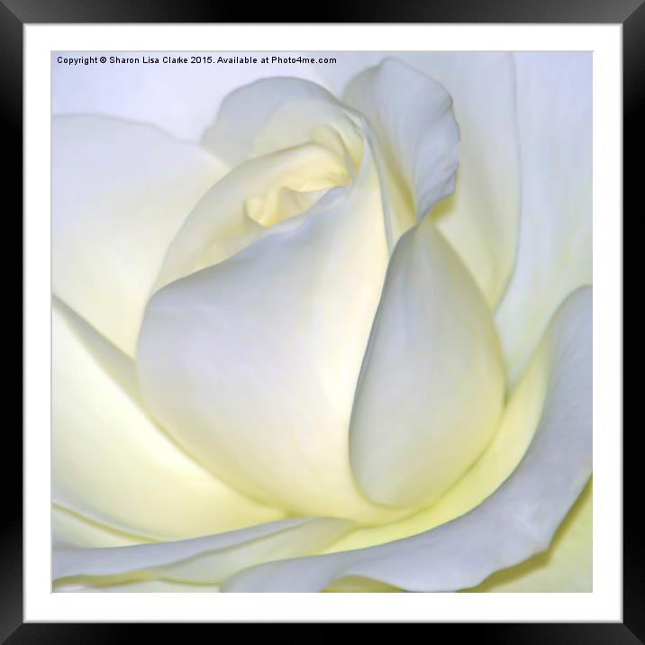  Purity Framed Mounted Print by Sharon Lisa Clarke
