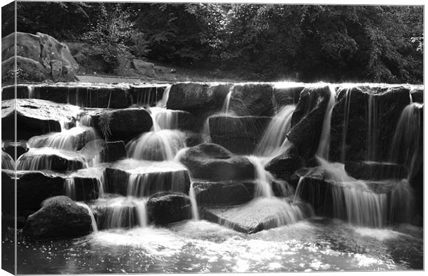 Waterfall BW Canvas Print by Paulo Soares