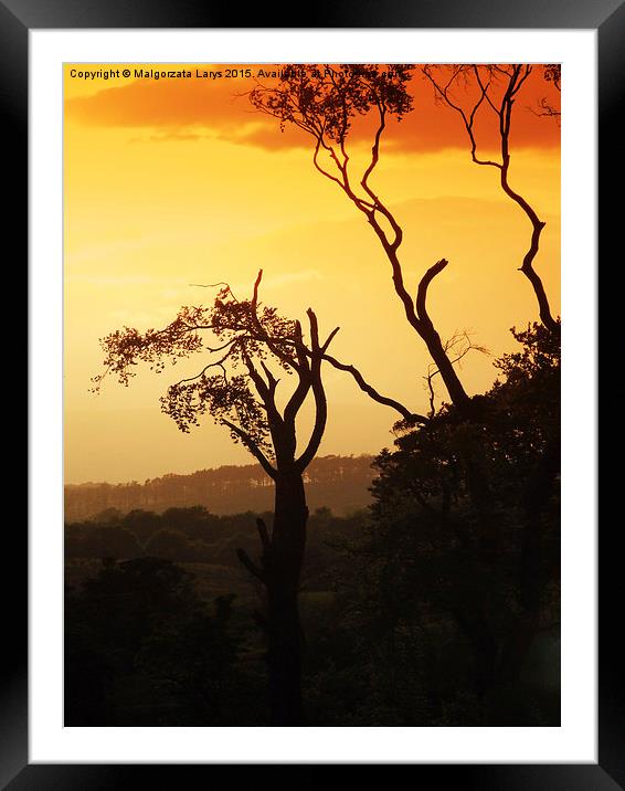   Beautiful Scottish landscape in the sunset light Framed Mounted Print by Malgorzata Larys
