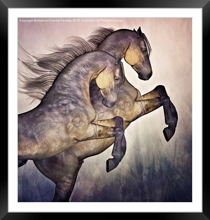  Two Stallions Framed Mounted Print by Abstract  Fractal Fantasy
