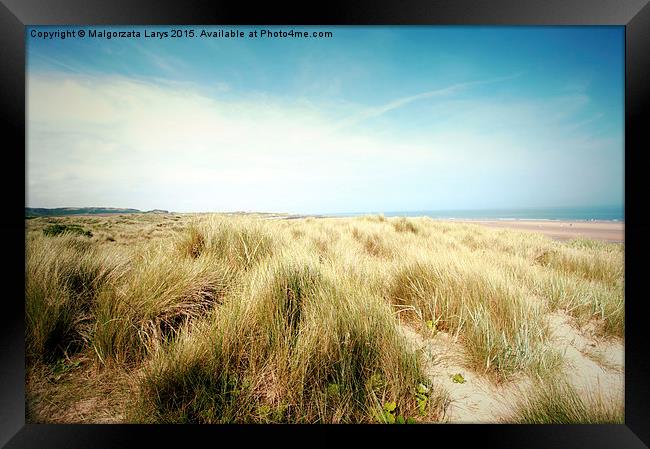 Beautiful beach with sand dunes and blue sky in UK Framed Print by Malgorzata Larys