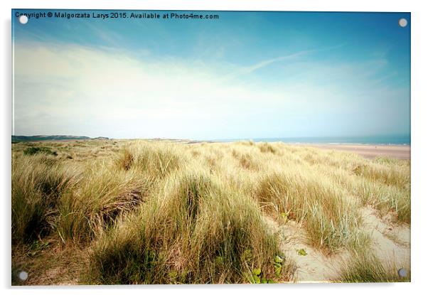 Beautiful beach with sand dunes and blue sky in UK Acrylic by Malgorzata Larys